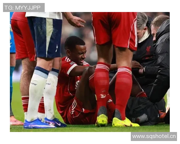 伊萨克谈伤病困扰与身体恢复情况表示积极乐观